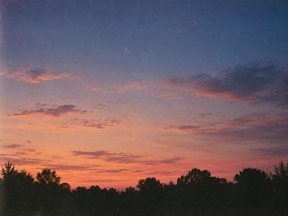 A coral twilight sky above a dark treeline
